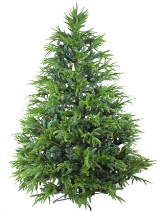 best water for christmas tree